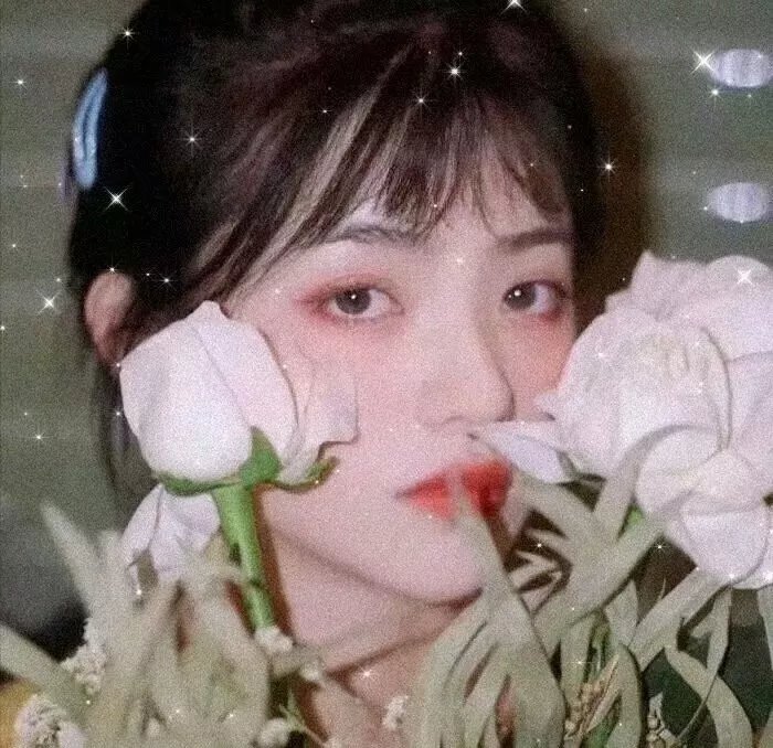 欢喜一家人之家族荣耀