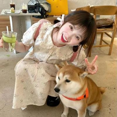 全员恶玉