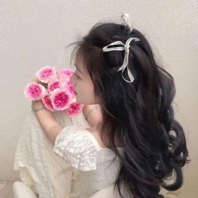 铁胆双雄
